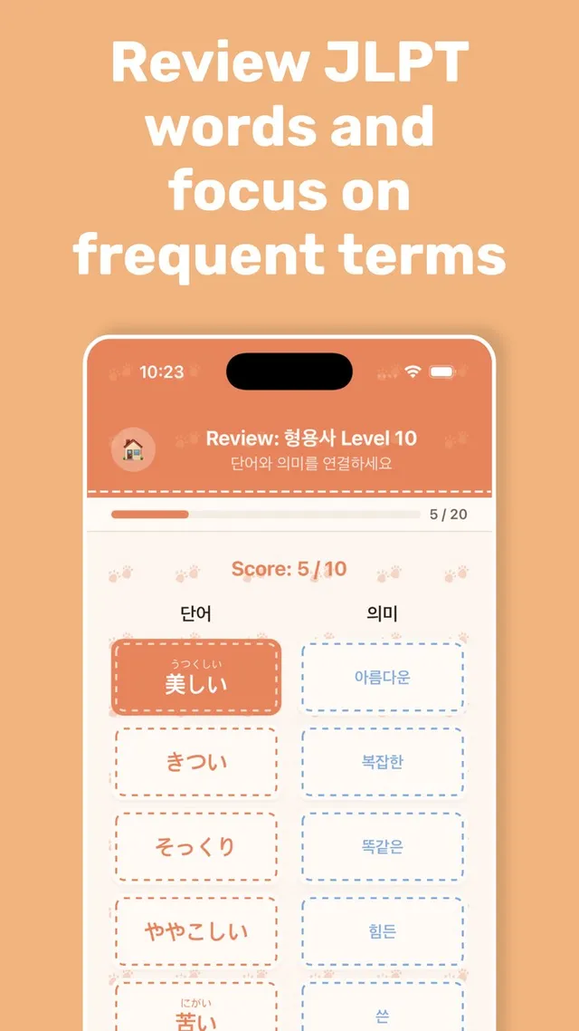 Review JLPT words and focus on frequent terms